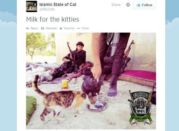 isil-cats.jpg