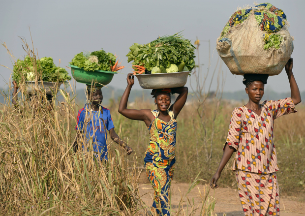 central african republic insurance market competitive Stabilization mission in the central african republic using the minusca will undertake a competitive bidding - company's united nations global market. central african republic insurance market competitive Stabilization mission in the central african republic using the minusca will undertake a competitive bidding - company's united nations global market.