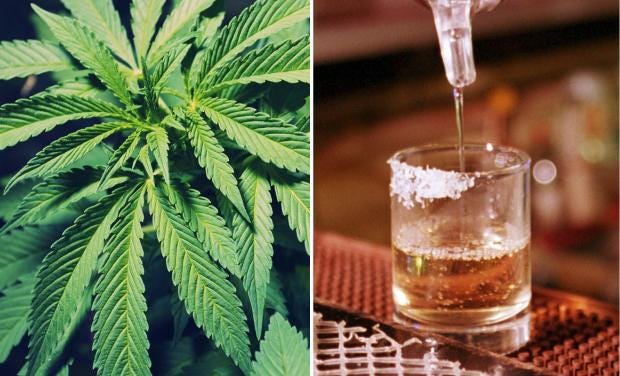 marijuana research paper sources marijuana research paper sources