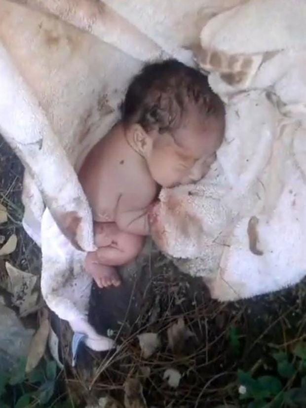 Man 'plans to adopt' newborn baby girl he found abandoned ...