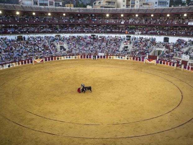 Bullfighting-2-EPA.jpg