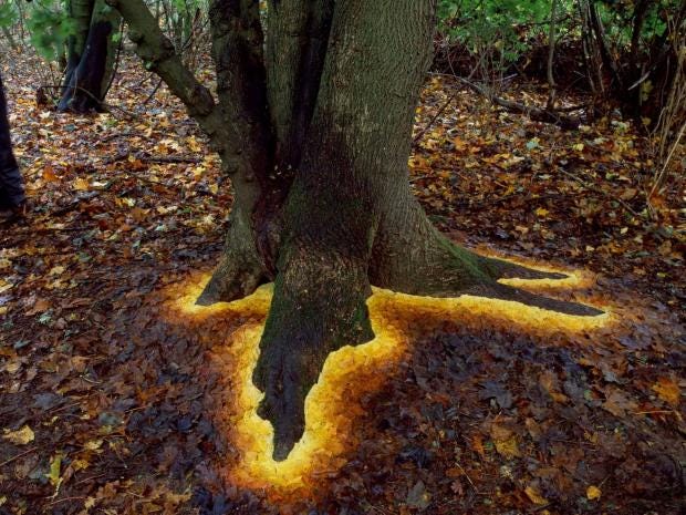 goldsworthy-sycamore.jpg