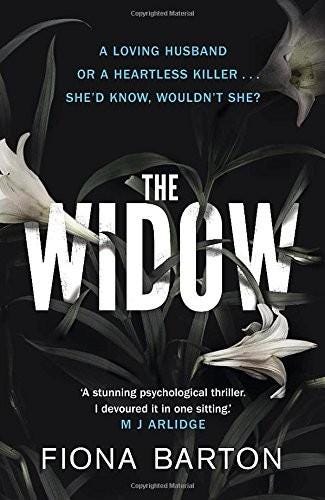 the widow fiona barton synopsis