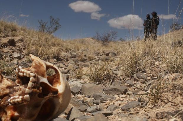 wires article mexico finds clandestine graves bodies wires article mexico finds clandestine graves bodies