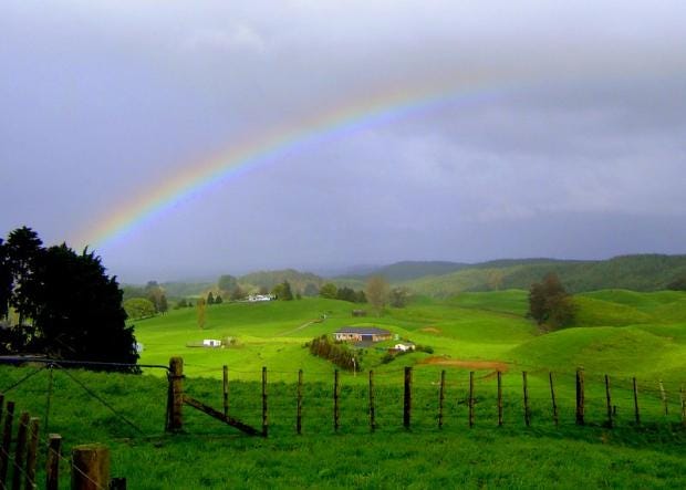 Tokoroa.jpg Tokoroa.jpg