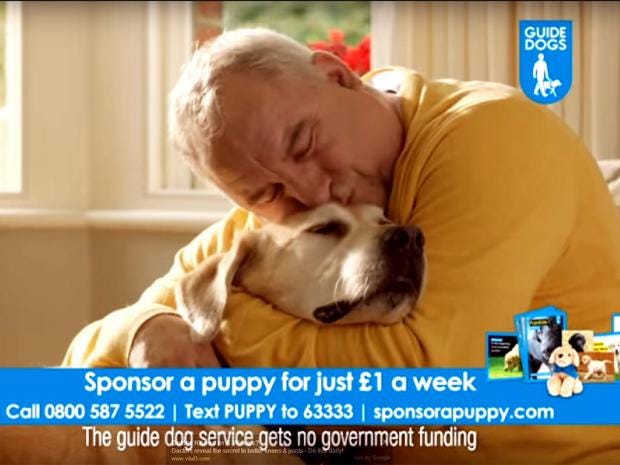 Guide Dogs for the Blind Association has radio advert
