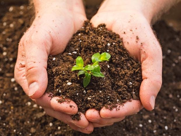 Soil crisis brought about by climate change may hit global food production, claims alarming new research | The Independent How a... 