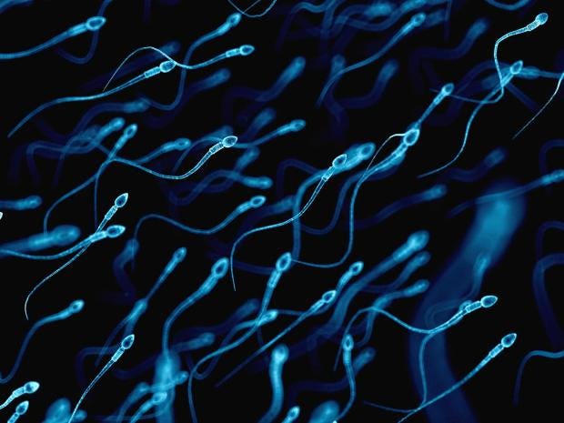 Bilderesultat for sperm