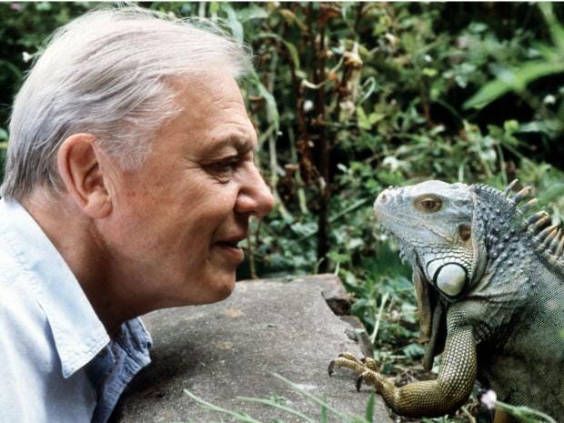 david-attenborough-at-90.jpg