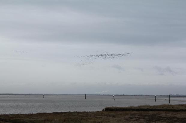 breydon-water.jpg