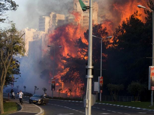 wildfires-haifa.jpg