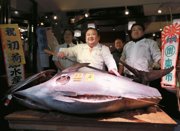 bluefin-tuna-japan.gif