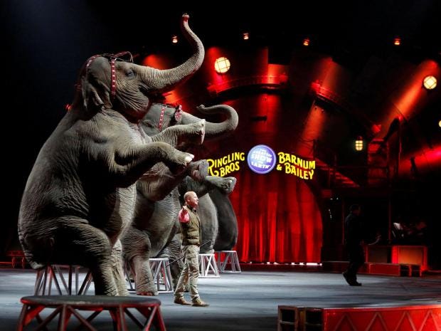 Why America's most famous circus was destined to fail | The Independent