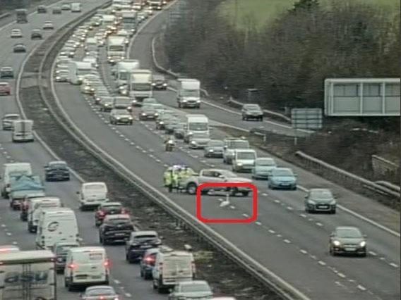swan-motorway.jpg