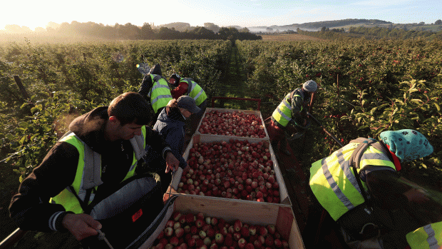 migrant-farm-workers.gif