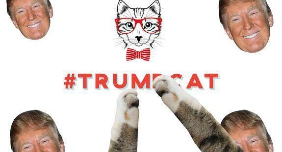 TrumpCat.jpg