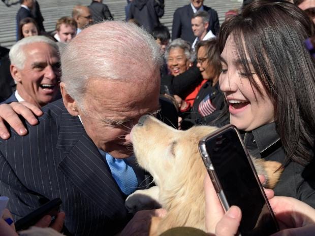 joe-biden-dog-biden.jpg