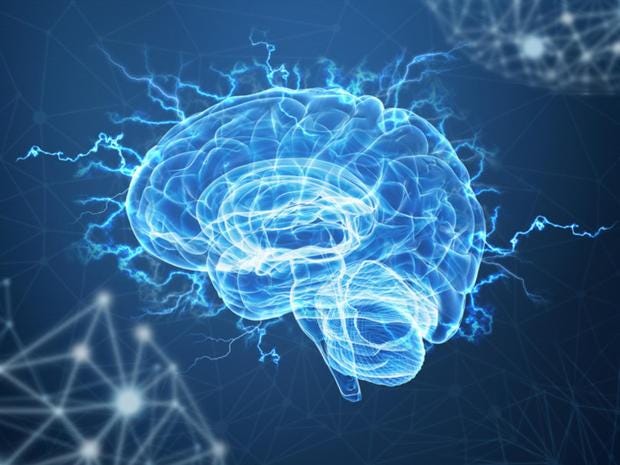 brain.jpg brain.jpg