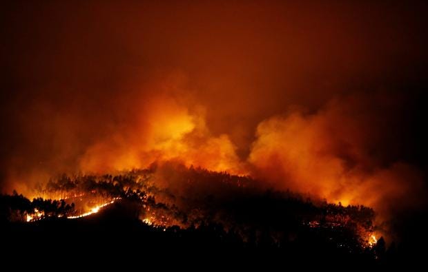 Картинки по запросу Wildfires kill dozens in central Portugal