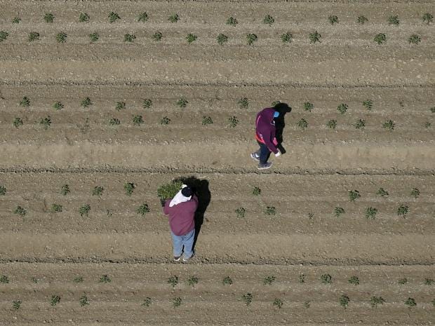 farmworkers-california-0.jpg