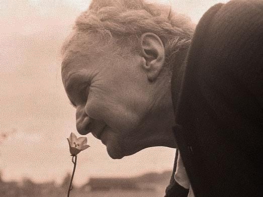 elderly-person-smells-flower