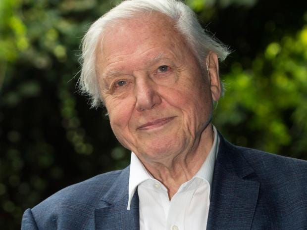 David Attenborough says world must act now on plastic ...

