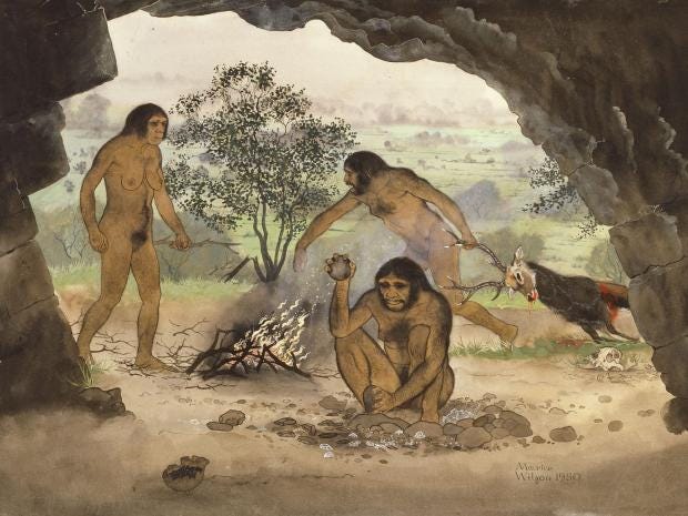 Homo erectus: Early humans were able to speak and crossed ...