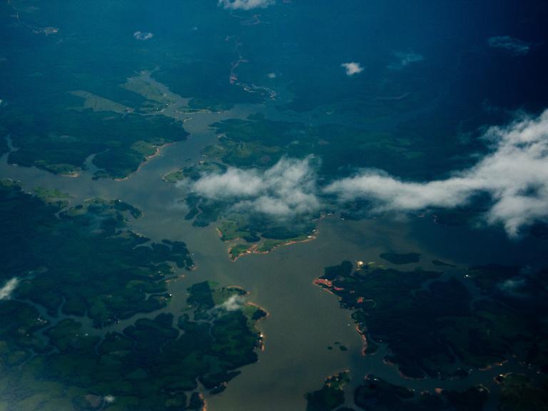amazon-rainforest.jpg