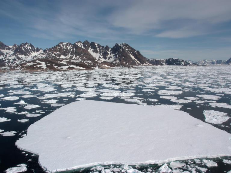 arctic-sea-ice.jpg