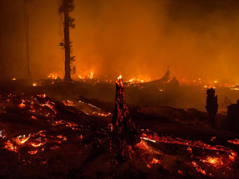 palm-oil-plantation-fire.jpg