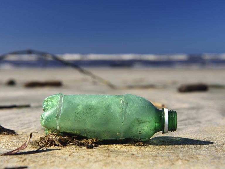 plastic-bottle-wsahed-up-beach.jpg