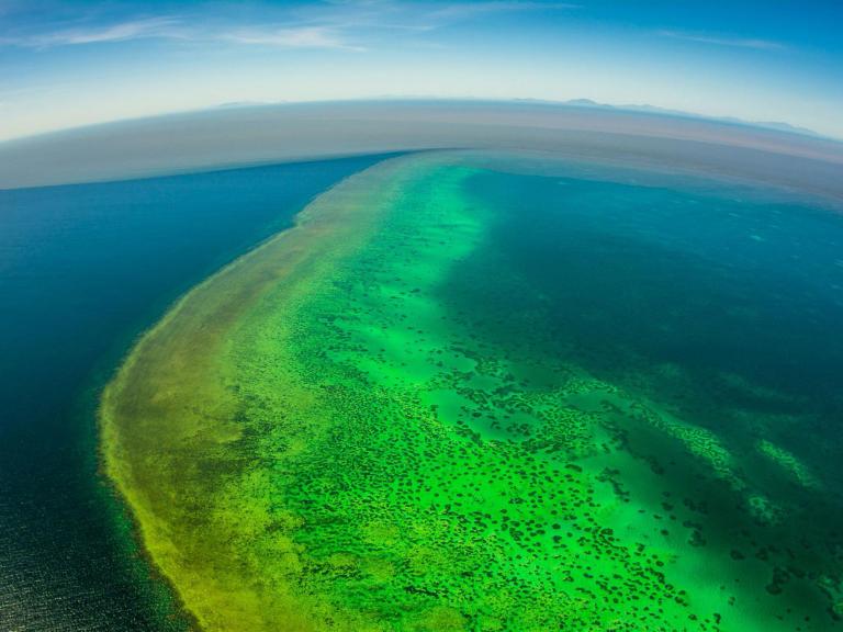 great-barrier-reef-head.jpg