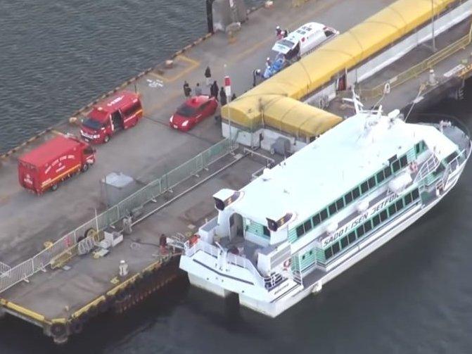 japan-ferry-whale.jpg