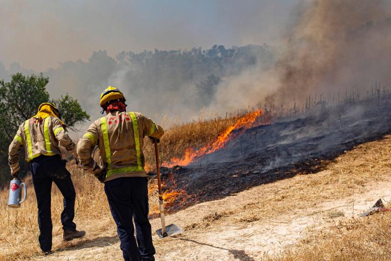 Wildfire-catalonia.jpg