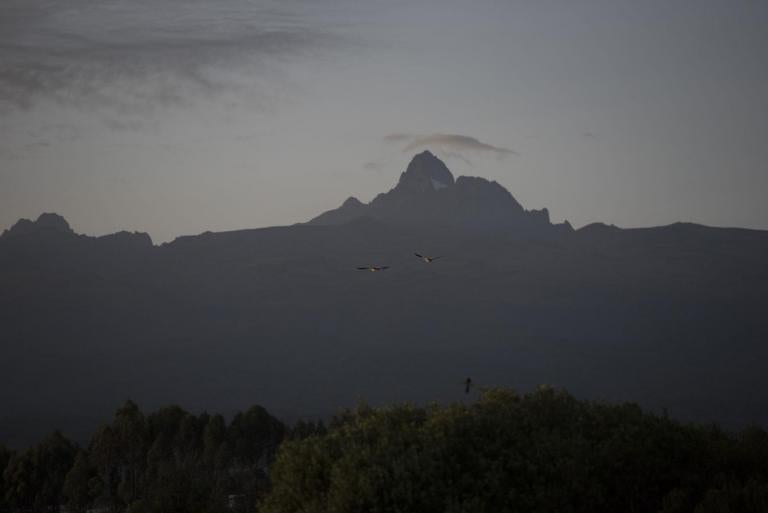 js-mt-kenya-dsc-2554.jpg