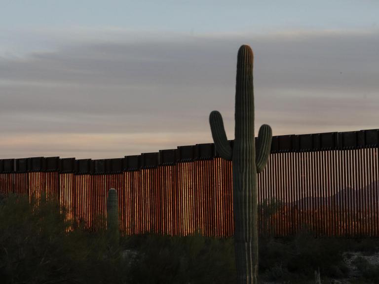 saguaro-cactus.jpg