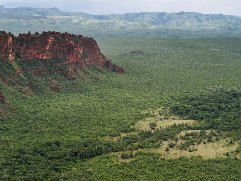 pantanal-0.jpg
