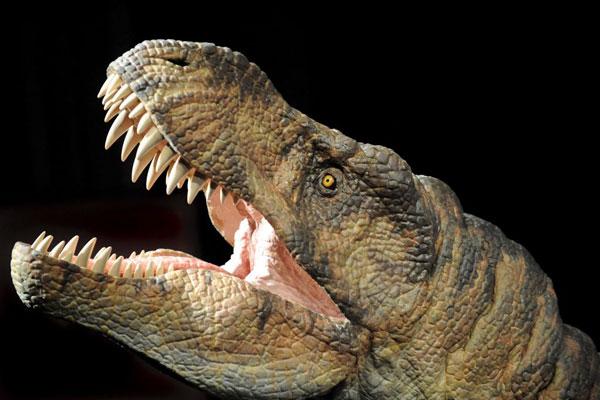 Sense of smell helped T. rex hunt at night | Science | News | The ...