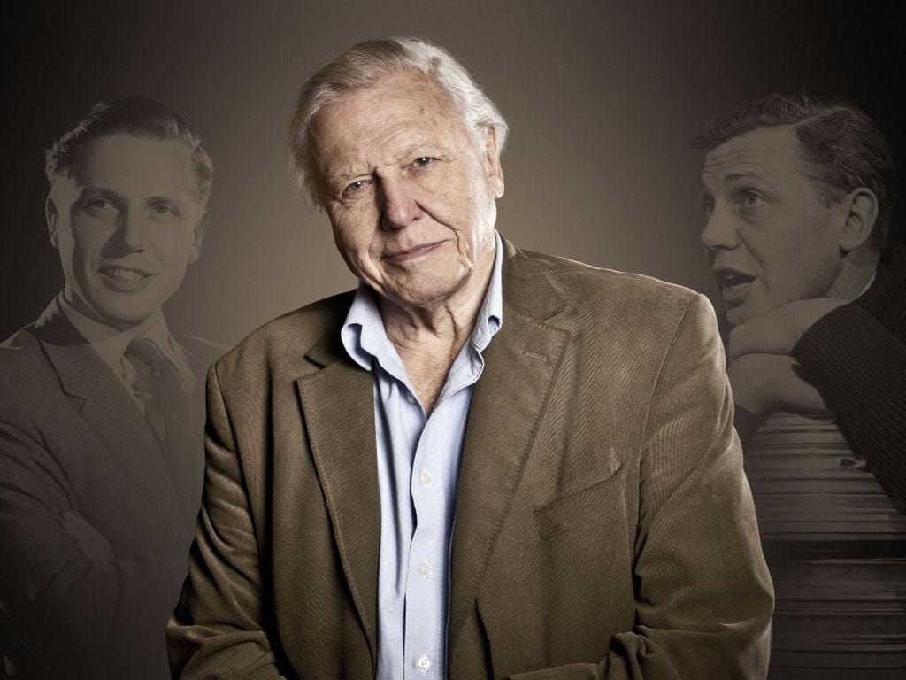 in bikini Richard Attenborough (1923?014) naked photo 2017 Selfie Richard Attenborough (1923?014) naked photo 2017