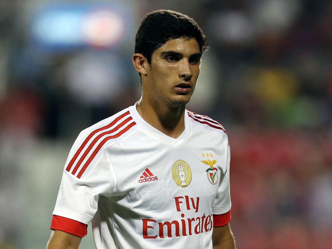 goncalo guedes - photo #6