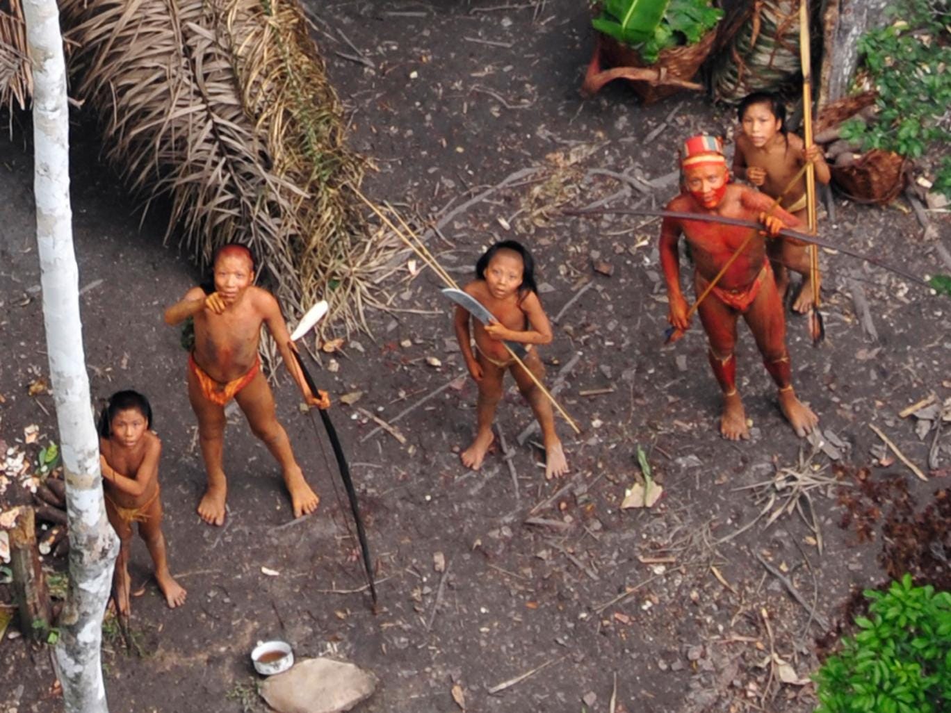 amazon-tribe-main.jpg