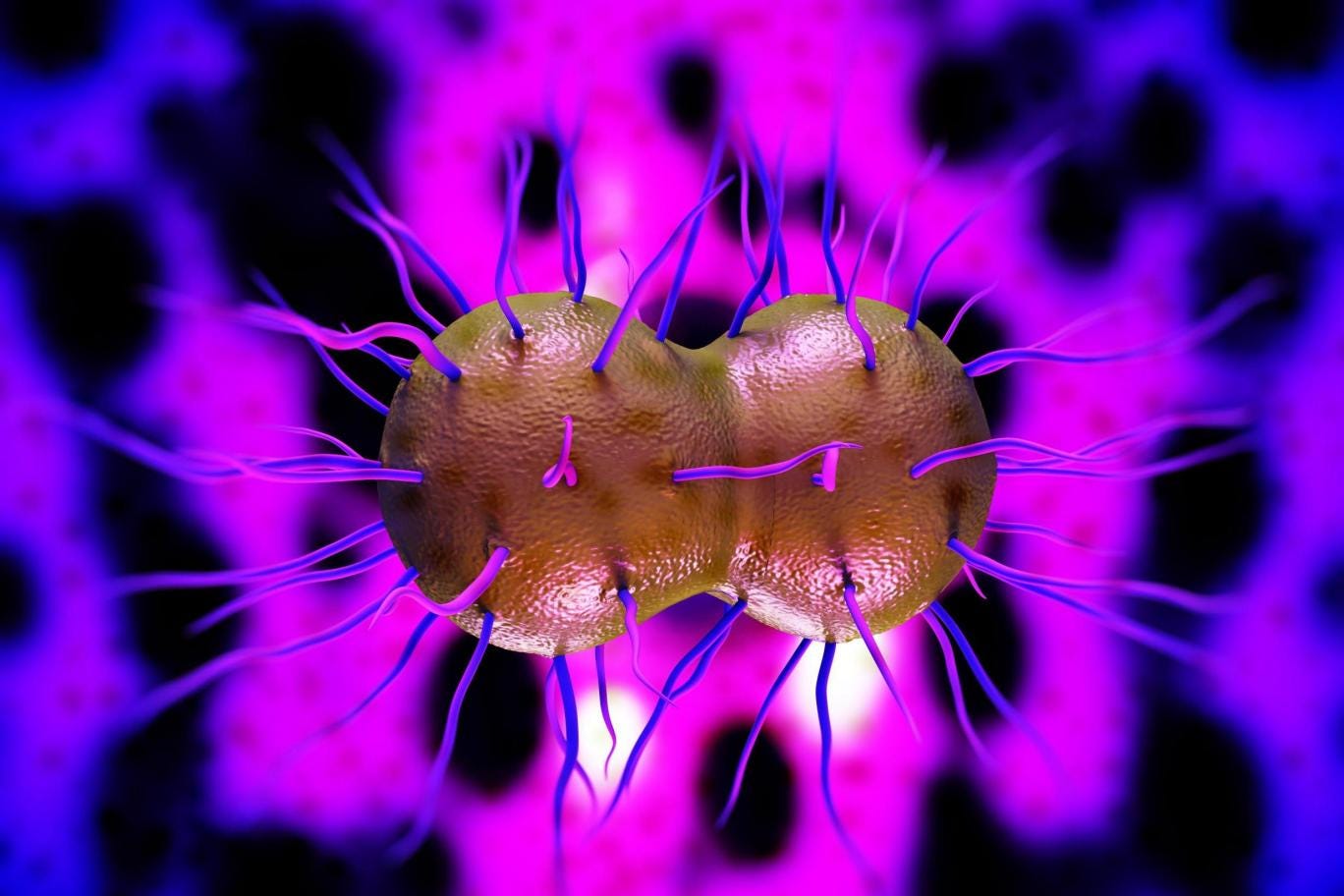 Oral Sex Is Making Gonorrhoea Harder To Treat Warns Who Oral Sex Is Making Gonorrhoea Harder To Treat Warns Who