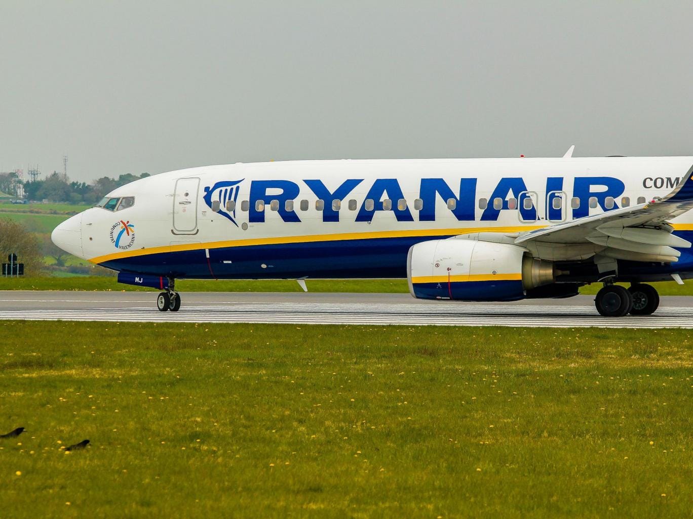 Cancelaciones Ryanair: reembolsos, cambios, bonos - Foro Aviones, Aeropuertos y Líneas Aéreas