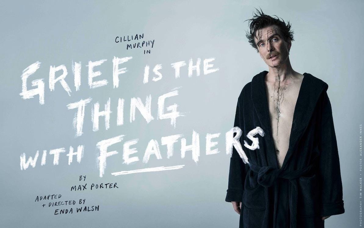 Rezultat slika za grief is a thing with feathers