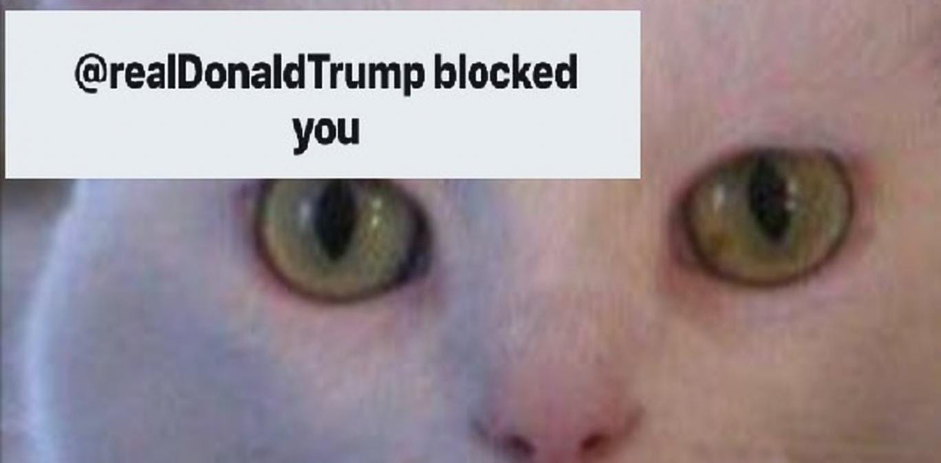 Donald Trump Blocks a Cat on Twitter