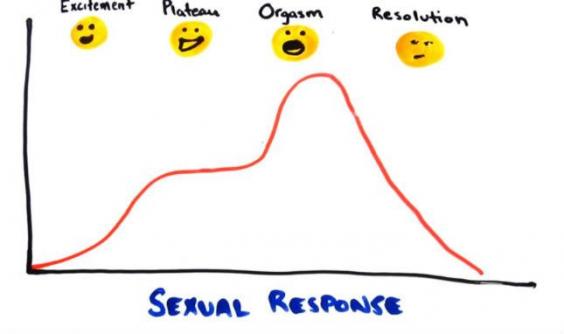 Science Of Orgasm