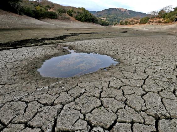 California drought: America’s golden state runs dry - and its farmers ...