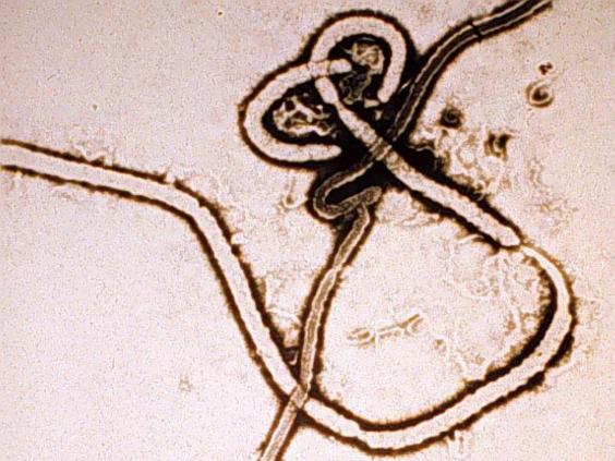 web-ebola-2.jpg web-ebola-2.jpg