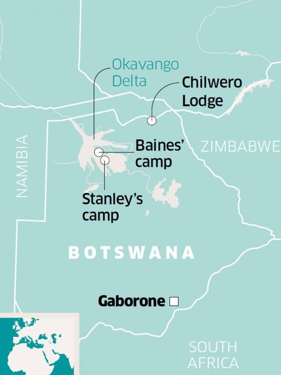 Botswana A Trunk Call For Elephant Conservation The Independent