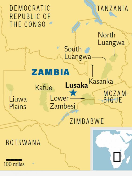 Zambia: how the wildlife-rich nation has achieved a fall in poaching ...